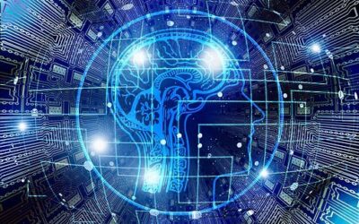Salmon Bay Technology’s Top Eight Reasons Why Small Businesses Need IT Managed Services